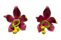Lily small earrings